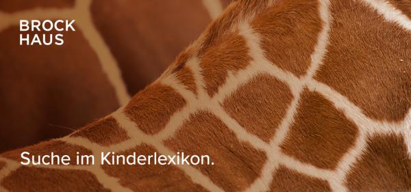 Nahaufnahme einer Giraffe. Text: Suche im Brockhaus Kinderlexikon