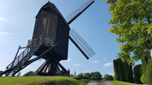 Bockwindmühle in Tönisberg © Stadt Kempen / Kirsten Pfennings Bockwindmühle in Tönisberg