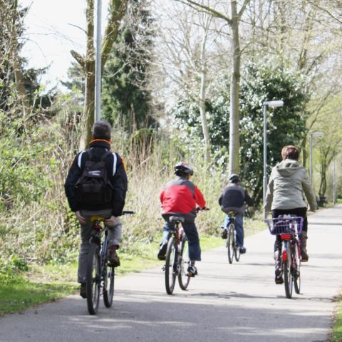 Radfahrer auf Radweg zwischen Bäumen (c) Kirsten Pfennings