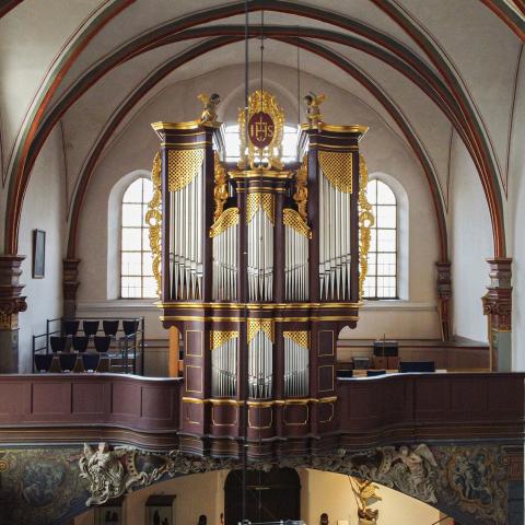 Königorgel in der Paterskirche